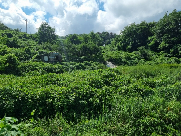 본건