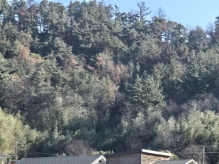 사진1