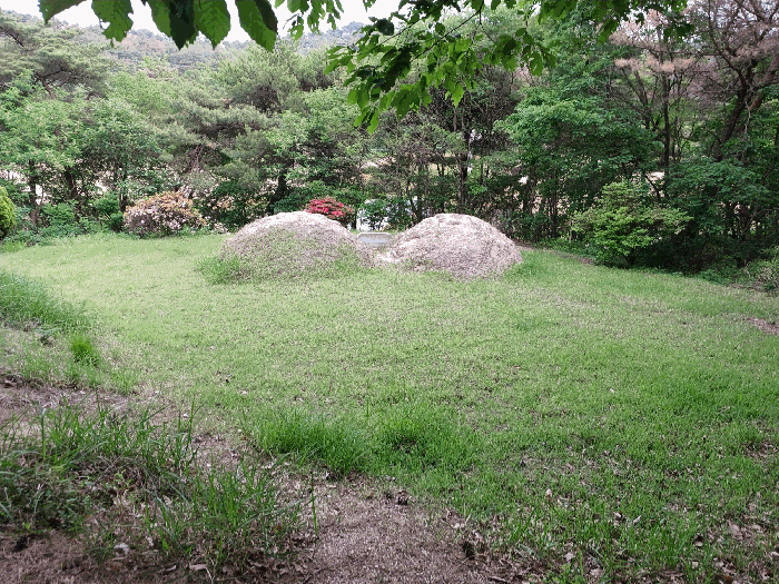 기호2지상 분묘