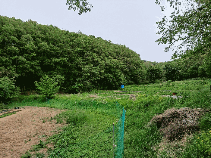 기호 3 전경