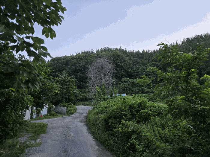 본건전경