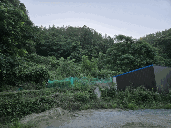 본건전경(기호2)