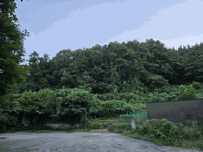 본건전경(기호1)