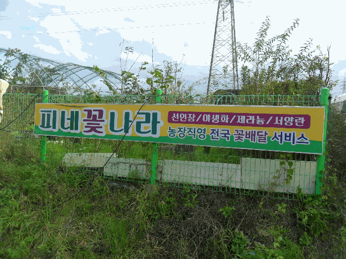 본건전경
