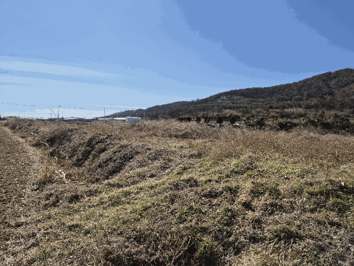 본건 전경(북동측에서 촬영)