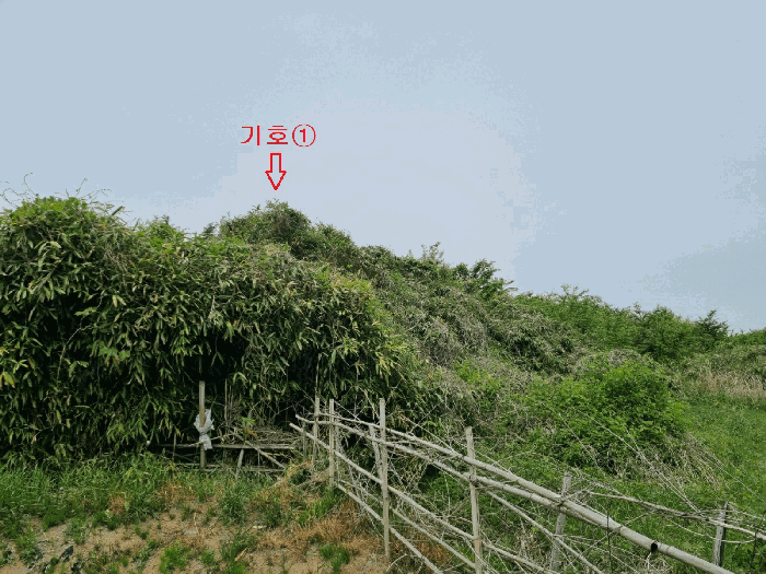 본건전경(기호 1)