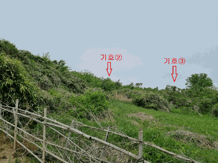본건전경(기호 2,3)