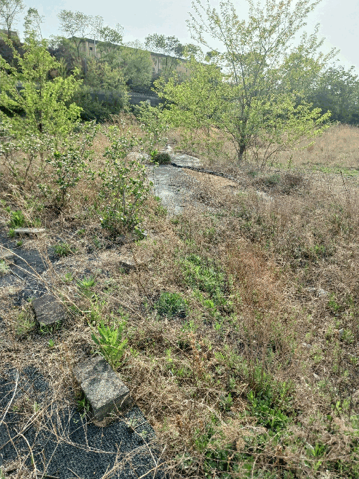 본건전경 2