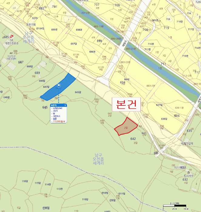 위 치 도