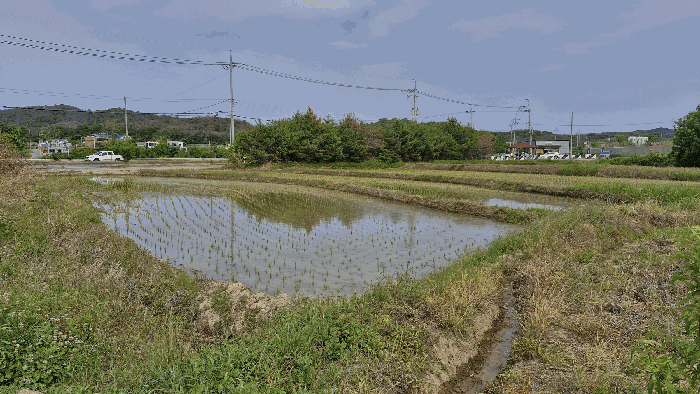 본건 전경