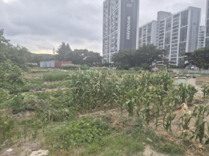 사진14