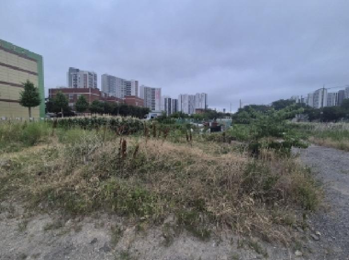 사진1