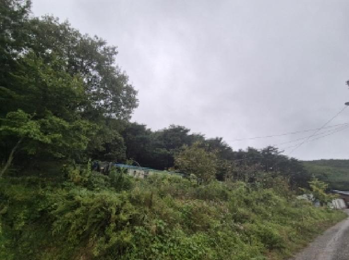 사진1