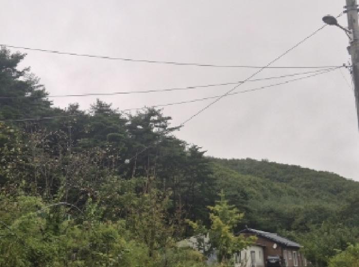 사진3