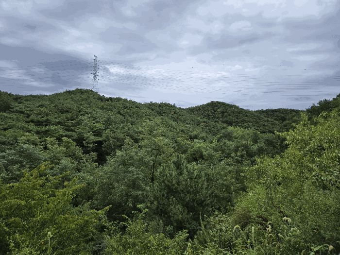 본건전경