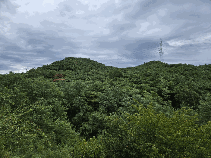 본건전경