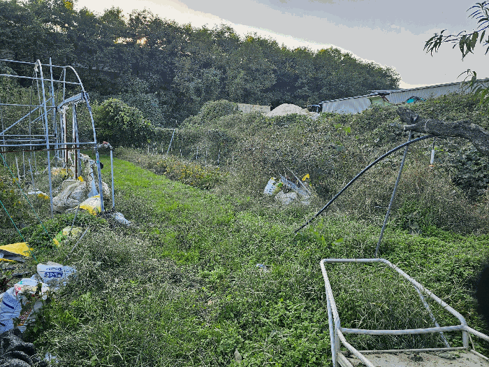 기호 (3) (동측에서 촬영)