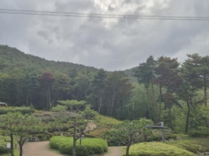 사진1