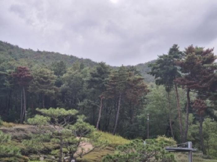 사진2