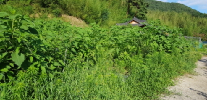 2019타경33439