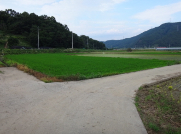 2021타경2063[9]
