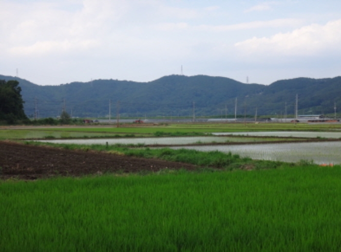 2021타경2063[9]