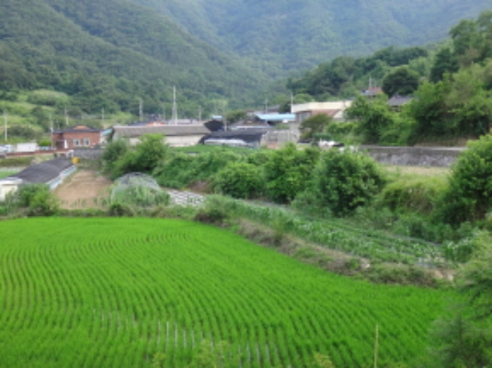 2021타경2063[9]