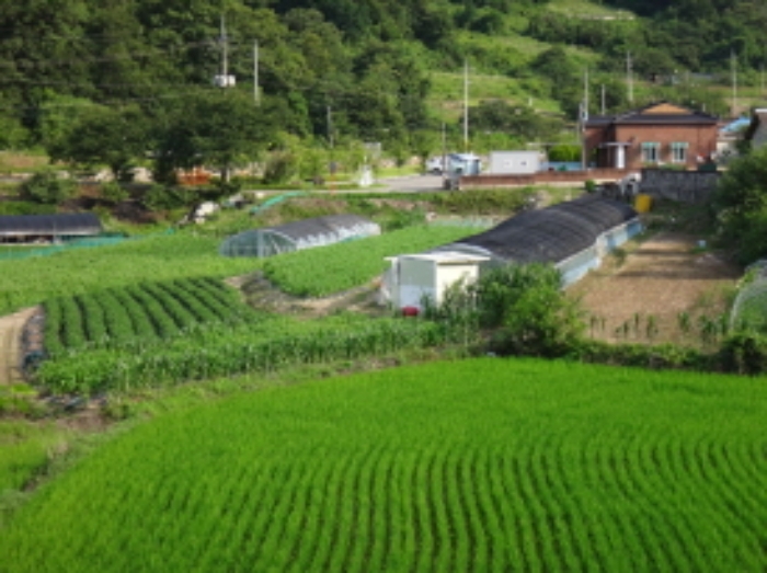 2021타경2063[9]