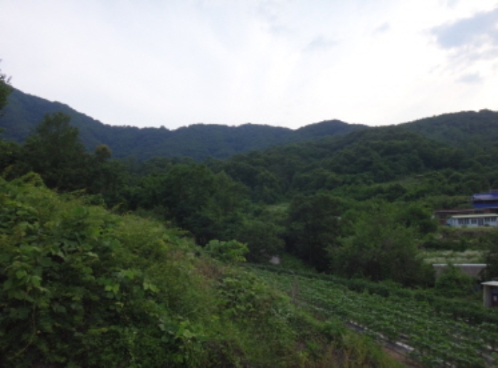 2021타경2063[9]