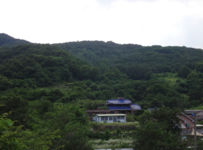 2021타경2063[9]