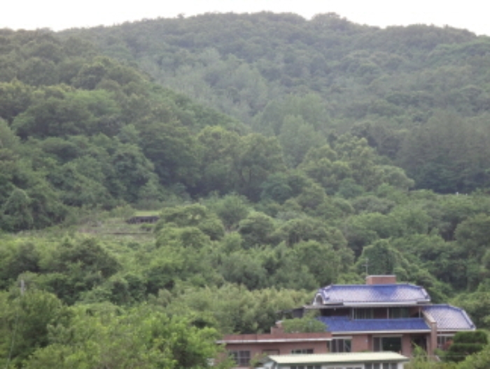 2021타경2063[9]