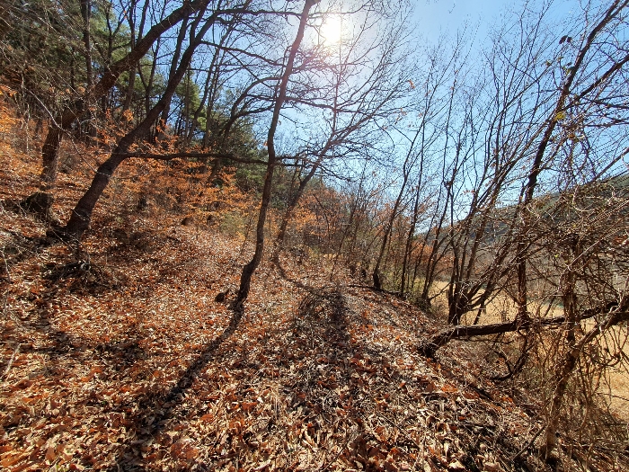 본건 북서측 전경