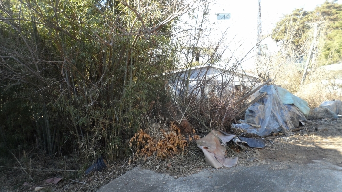본건 전경