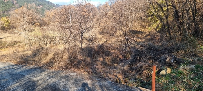 본건 전경