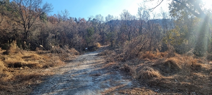 본건 전경