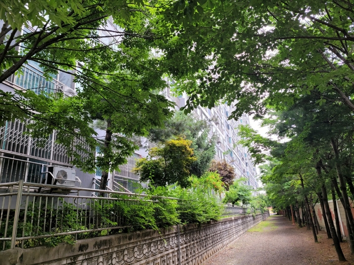 본건 소재 건물동 남측부분 전경
(남측지상 서측에서 촬영)