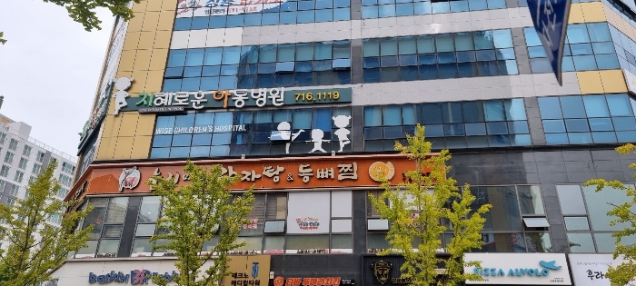 본건 전경(본건 남서측 인근에서 촬영)