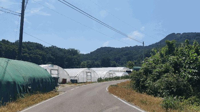 본건 번호 (1~4) 인근 전경