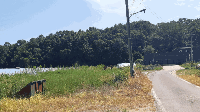 본건 번호 (4) 토지 전경