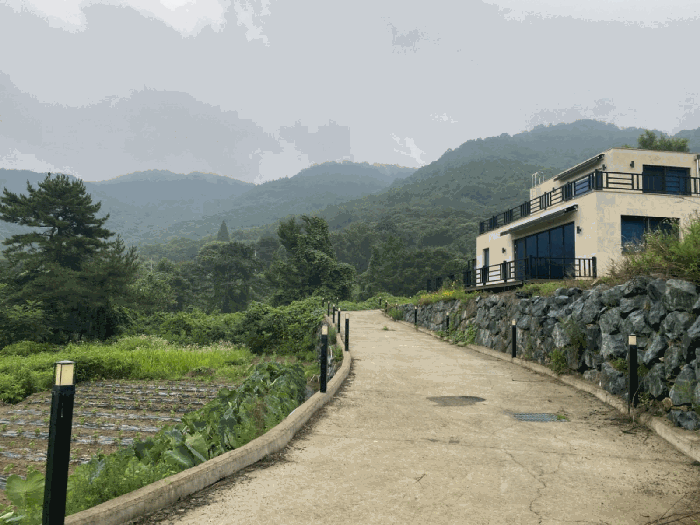 기호(2) 전경