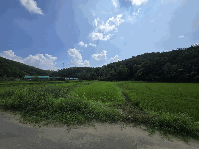 본건 전경 1
