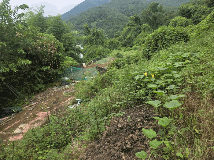 기호(4) 토지 전경