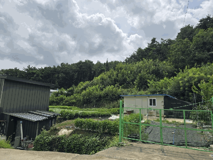 【 본건 인근 전경 】