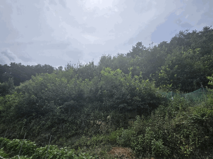 【 본건 전경 】