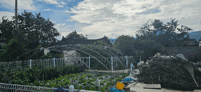 본건 전경(북동측에서 촬영)
