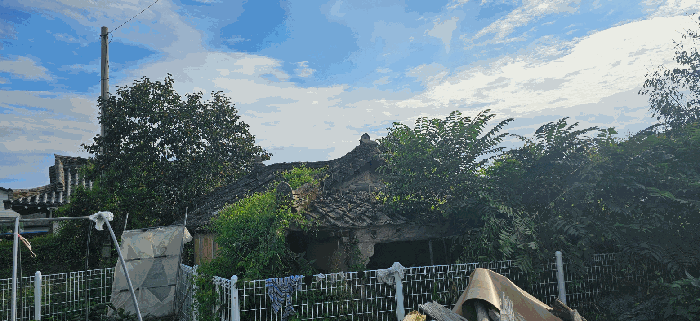 본건 전경(북측에서 촬영)