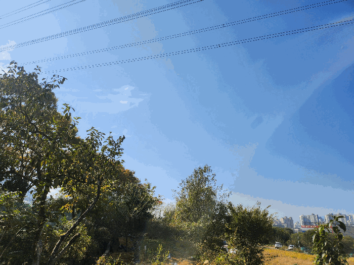 본건 북동측(송전선) 전경