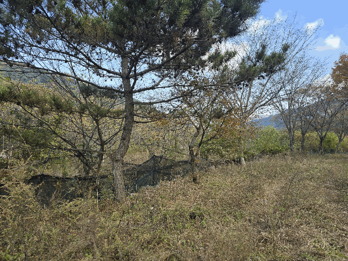 기호(1) 전경(남서측에서 촬영)