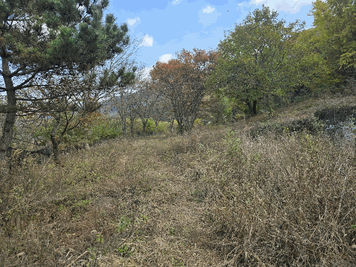 기호(3) 전경(서측에서 촬영)