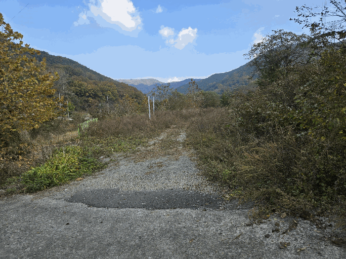 기호(4,5) 전경(서측에서 촬영)